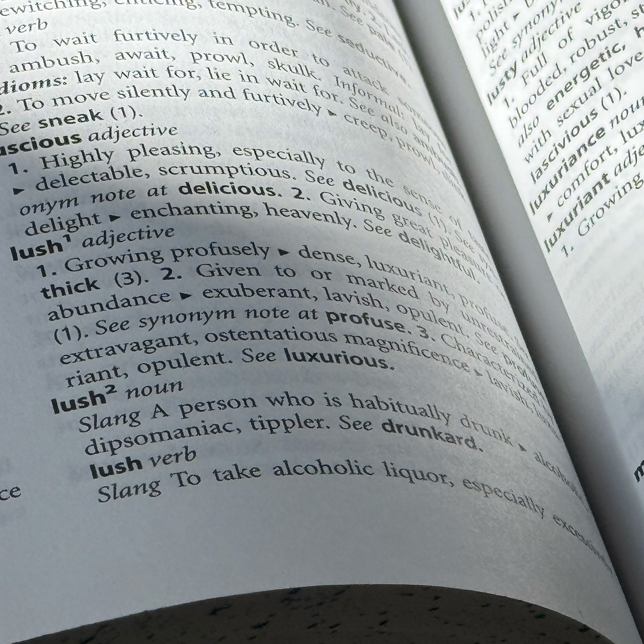 A close-up of an open page from a traditional thesaurus