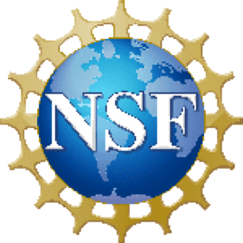 NSF logo